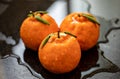 Ponkan tangerines on a dark, wet table. Ponkan ripe and wet. Poncan. Selective focus Royalty Free Stock Photo