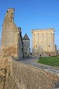 Pons Castle, France