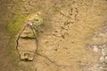 The Ponsul River is a affluent of the Tejo River, in Portugal, and is a very large river. At this time it is completely dry, witho