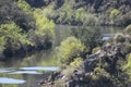 Ponsul River, tributary of Tagus, Portugal