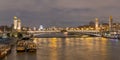 View of Alexandre III bridge at night, Paris, France. Royalty Free Stock Photo