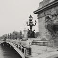 Pont Alexandre III Royalty Free Stock Photo