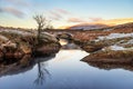 Pont Ar Elan, Elan Valey, wales snowy scene of Afon Elan flowing through a bridge in winter with lone tree reflected in water and Royalty Free Stock Photo