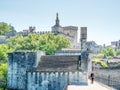 Pont d`Avignon bridge in Avignon, France Royalty Free Stock Photo