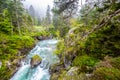 Pont d Espagne Bridge in Cauterets, Pyrenees , France. Royalty Free Stock Photo