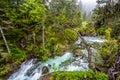 Pont d Espagne Bridge in Cauterets, Pyrenees , France. Royalty Free Stock Photo