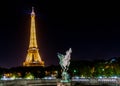 Pont de Bir-Hakeim at night - Paris, France