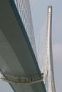 Pont de Normandie (bridge) Royalty Free Stock Photo