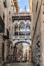 Pont del Bisbe or Bishop Bridge is a Neo-Gothic style bridge in Barcelona Royalty Free Stock Photo