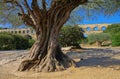 Pont du Gard