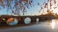 Pont Neuf over the Garonne in Toulouse in winter, Occitanie, France