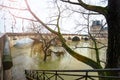 Pont Royal and Seine river flood in Paris, France