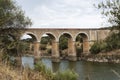 Ponte de ardilla in portugal Royalty Free Stock Photo