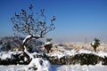 Ponte Vecchio or Old Bridge Florence Italy with snow panorama Tuscany