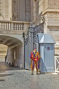 The Pontifical Swiss Guard, Vatican Royalty Free Stock Photo