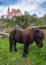 Pony and Covadonga Basilica Royalty Free Stock Photo