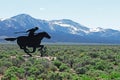 Pony Express Royalty Free Stock Photo