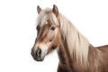 Pony photo realistic illustration - Generative AI. Royalty Free Stock Photo