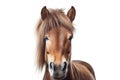 Pony photo realistic illustration - Generative AI. Royalty Free Stock Photo