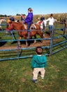 Pony ride and children