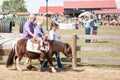 Pony Ride for Kids Royalty Free Stock Photo