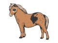 Pony small horse color engraving vector