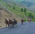 Pony wallas  in Neelum valley Gurez kashmir Royalty Free Stock Photo