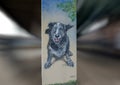 Pooch-themed art in Bark Park Central, Deep Ellum, Texas Royalty Free Stock Photo