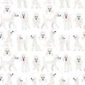 Poodle in action,seamless pattern