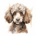 Watercolor Poodle Portrait: Detailed Character Illustration With Emotion
