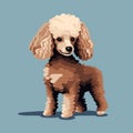 Pixelated Realism: Cute Brown Poodle Vector Illustration