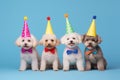 Poodle dog puppy in a group, vibrant bright fashionable outfits at birthday party. Generative AI