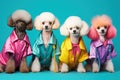 Poodle dog puppy in a group, vibrant bright fashionable outfits at birthday party. Generative AI