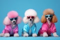 Poodle dog puppy in a group, vibrant bright fashionable outfits at birthday party. Generative AI