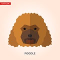 Poodle head vector illustration. Royalty Free Stock Photo