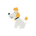 Poodle isolated. Stylized image