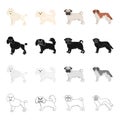 Poodle, lapdog, bulldog, and other web icon in cartoon style.Dog, animal, domestic icons in set collection.