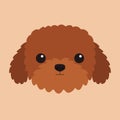 Poodle maltipoo brown dog puppy. Cute cartoon kawaii funny pet baby animal character. Round face icon. Love greeting card. Sticker Royalty Free Stock Photo