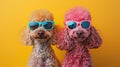 Poodle Paradise: Stylish Canine Duo in Sunglasses & Vintage Accessories, AI Studio Shot with Vibrant Colored Frames & Yellow