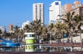 Pool Area Against Palm Trees and City Skyline