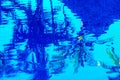 Water Abstract Pool Reflection Palm Trees Royalty Free Stock Photo