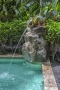 Pool in the condominium courtyard Amazon Royalty Free Stock Photo