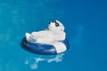 Pool decoration in the form of a relaxed bathing polar bear with sunglasses and a swim ring