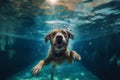 funny dog swimming vacation fun underwater puppy water pool snorkeling. Generative AI.