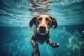 swimming dog underwater water funny fun pool vacation snorkeling puppy. Generative AI.