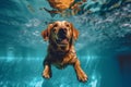 pool dog water snorkeling funny puppy underwater swimming vacation fun. Generative AI.
