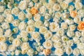 The pool filled with white rose flowers. Wedding decor. Royalty Free Stock Photo