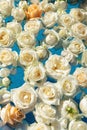 The pool filled with white rose flowers. Wedding decor. Royalty Free Stock Photo