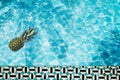 Pool float, ring floating in a refreshing blue swimming pool with palm tree leaf shadows in water Royalty Free Stock Photo