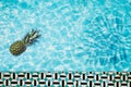 Pool float, ring floating in a refreshing blue swimming pool with palm tree leaf shadows in water Royalty Free Stock Photo